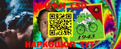 ПСИЛОЦИБИНОВЫЕ ГРИБЫ Ковров