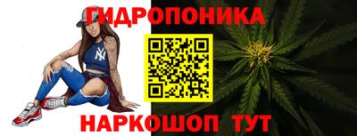 крисы Коломна