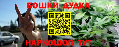 крисы Коломна
