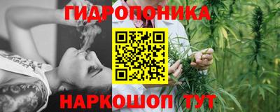 ALPHA PVP Когалым