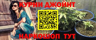ПСИЛОЦИБИНОВЫЕ ГРИБЫ Ковров