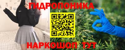 ПСИЛОЦИБИНОВЫЕ ГРИБЫ Ковров
