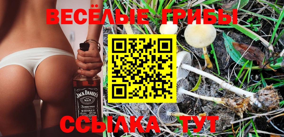 Галлюциногенные грибы мицелий  Вход с VPN  Галлюциногенные грибы MAGIC MUSHROOMS  Владимир 